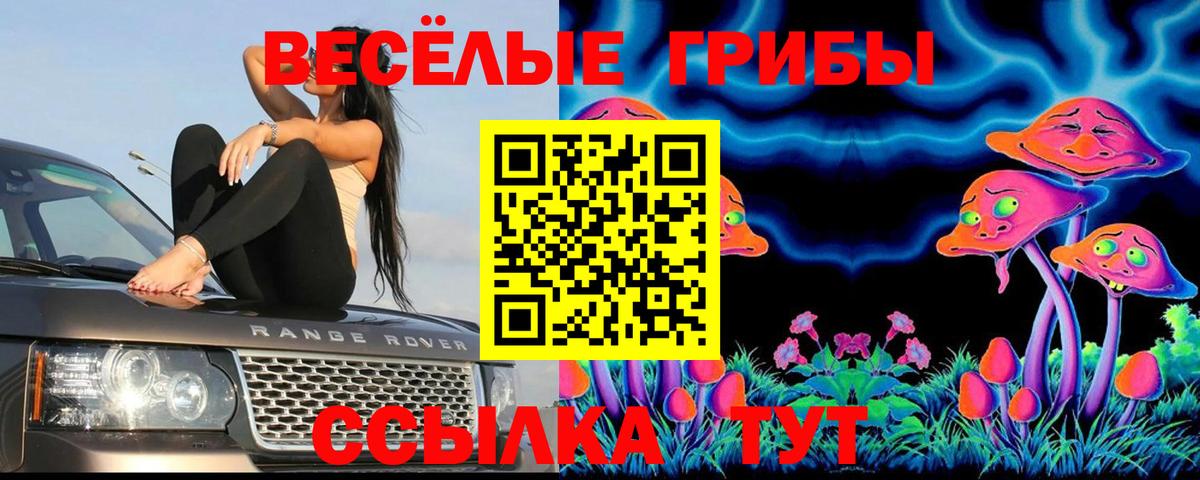 Галлюциногенные грибы ЛСД  Галлюциногенные грибы Magic Shrooms  Вход с VPN  Заречный 