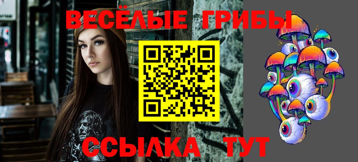 Псилоцибиновые грибы ЛСД Заречный